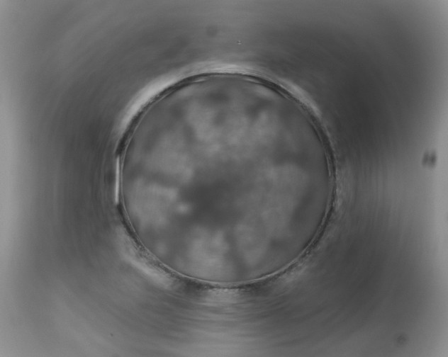 X0000113571223200910091431