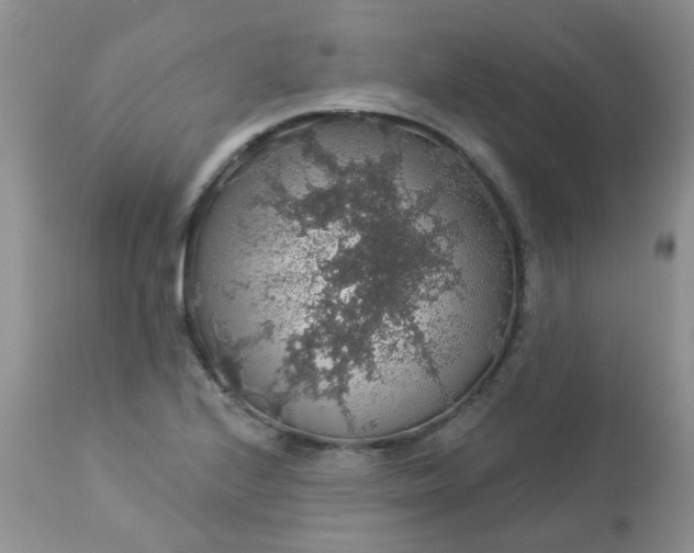 X0000113571224200910091431