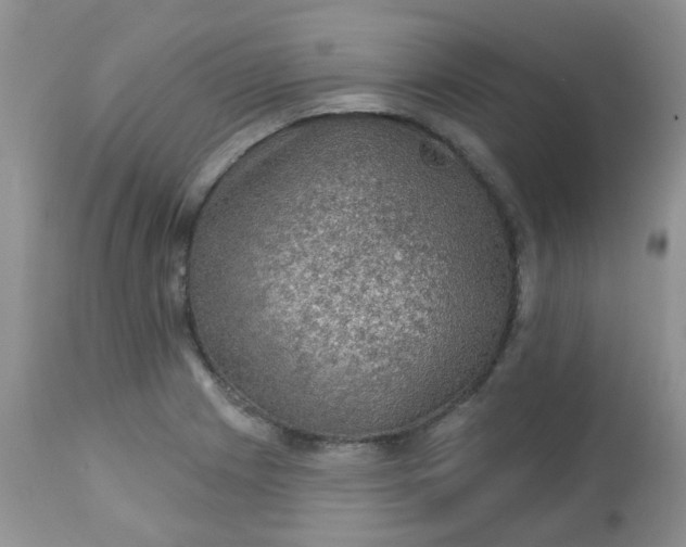 X0000113571225200910091431