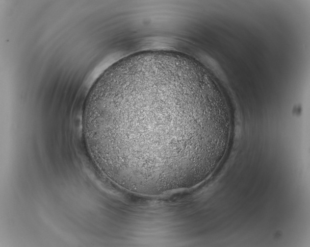 X0000113571226200910091431