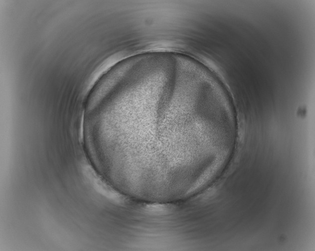 X0000113571227200910091431