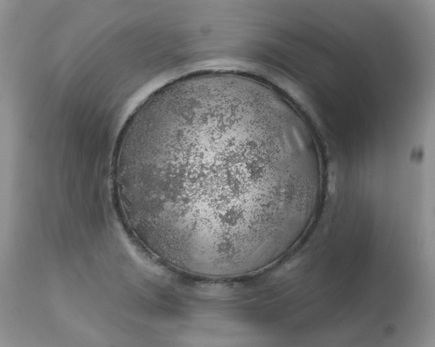 X0000113571229200910091431