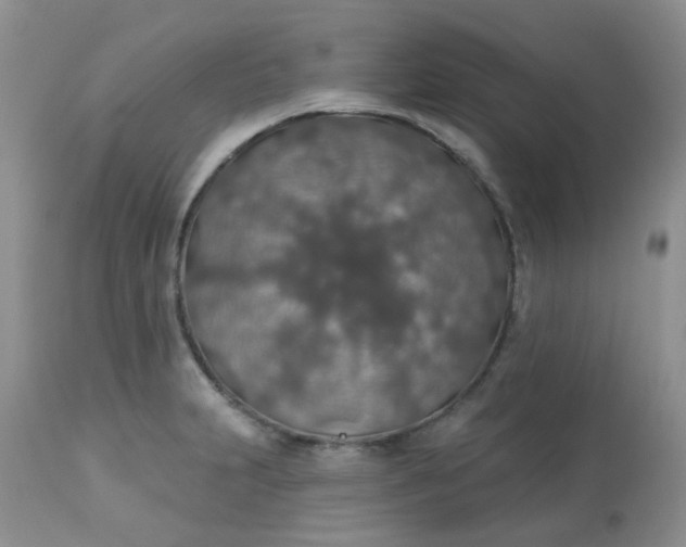 X0000113571231200910091431