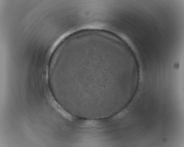 X0000113571232200910091431