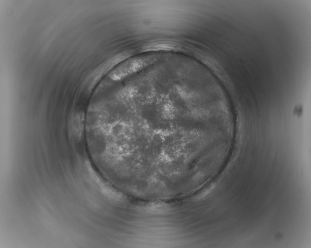 X0000113571233200910091431