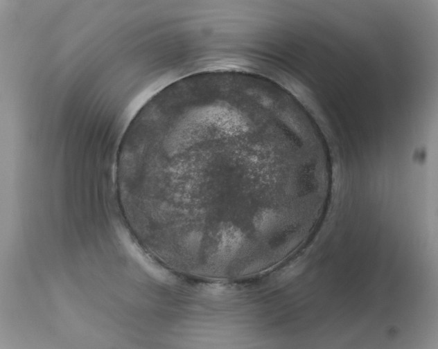 X0000113571234200910091431