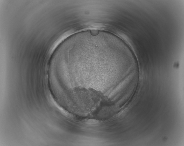 X0000113571235200910091431