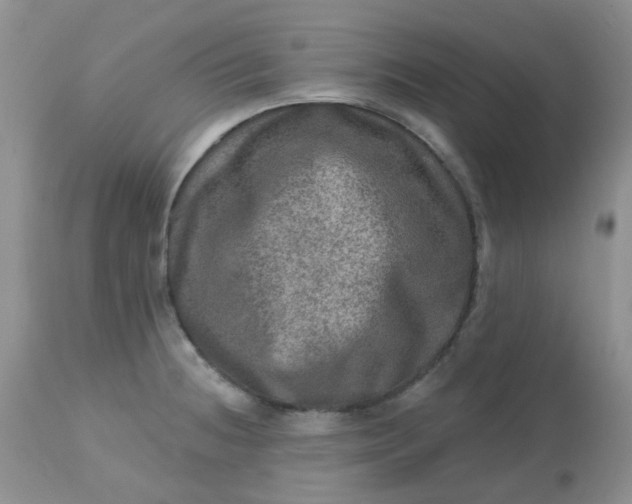 X0000113571236200910091431