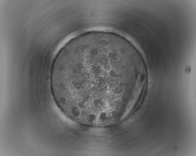 X0000113571237200910091431