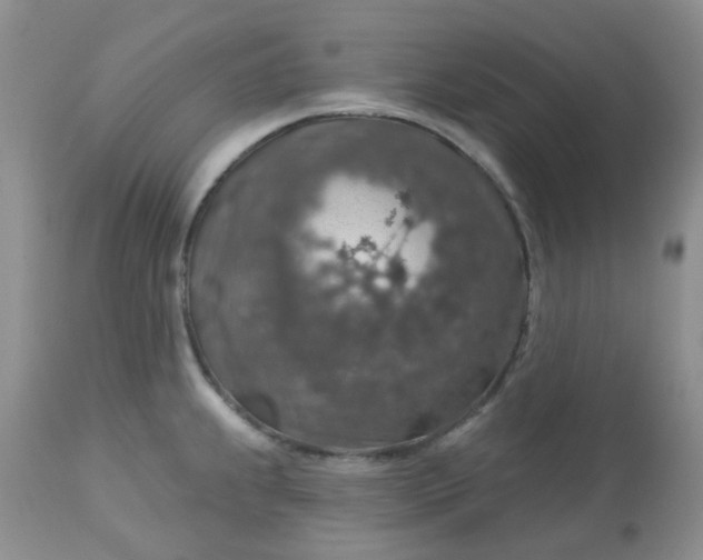 X0000113571239200910091431