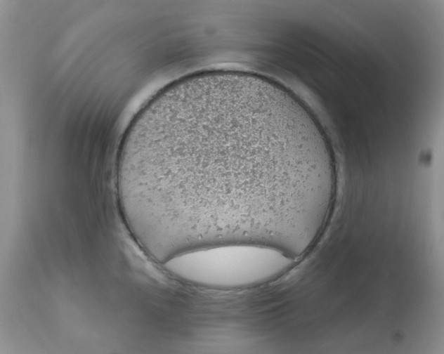 X0000113571240200910091431