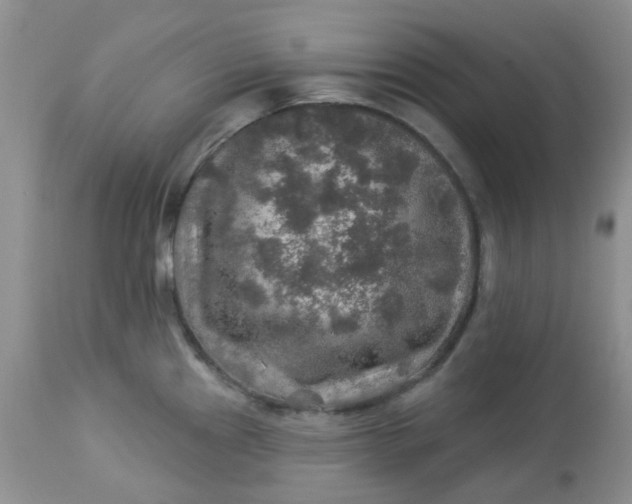 X0000113571241200910091431