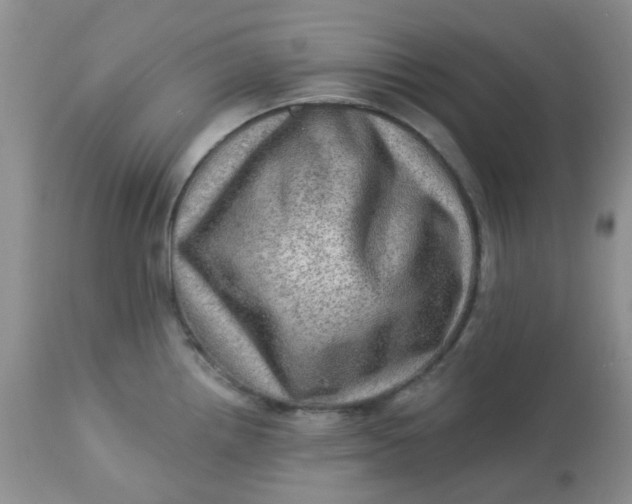 X0000113571242200910091431