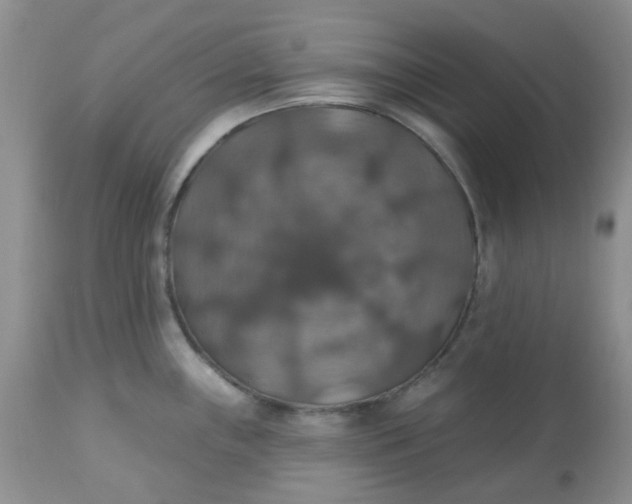 X0000113571243200910091431