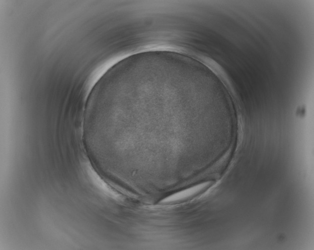 X0000113571244200910091431