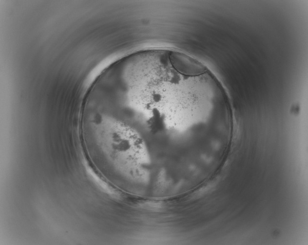 X0000113571245200910091432