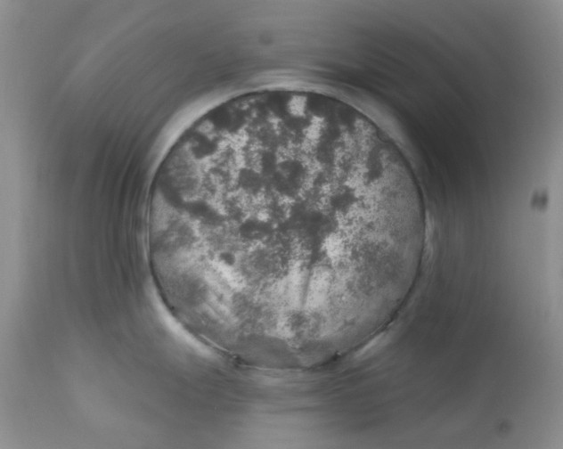 X0000113571247200910091432