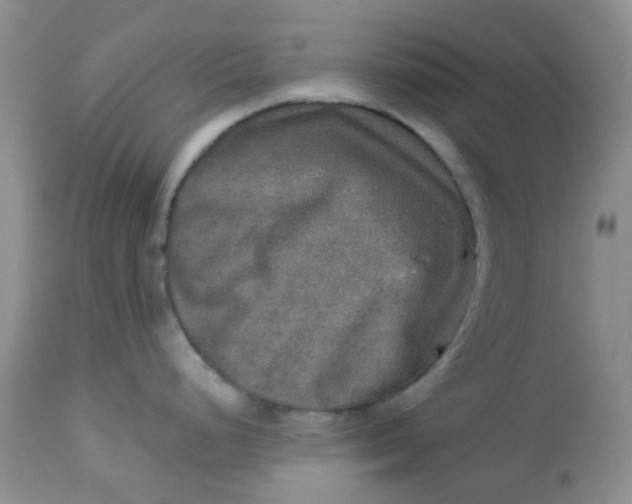 X0000113571248200910091432