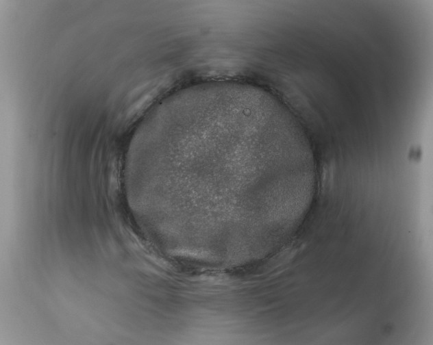 X0000113571250200910091431