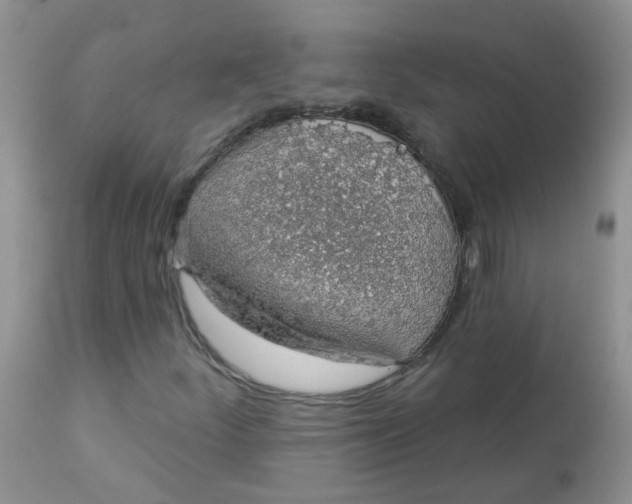 X0000113571252200910091431