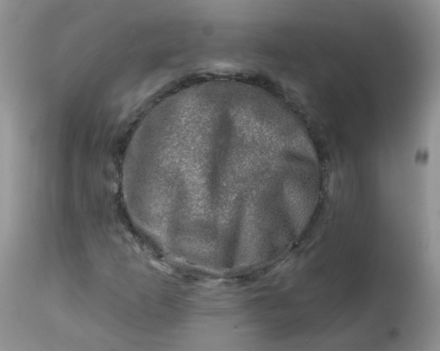 X0000113571253200910091431