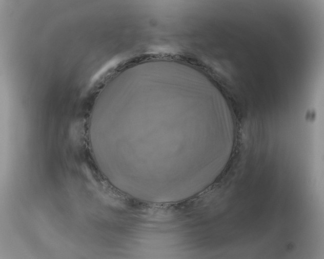 X0000113571254200910091431