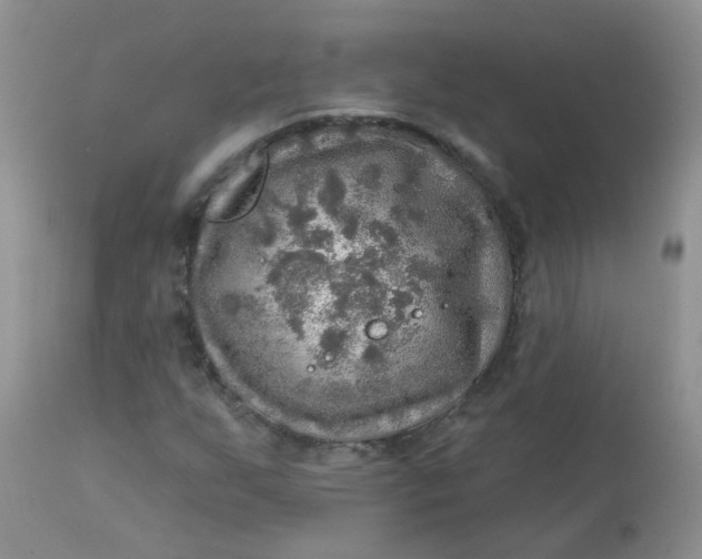 X0000113571255200910091431