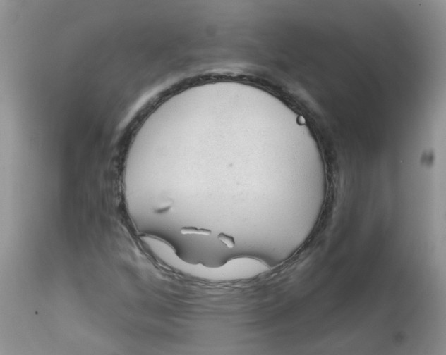 X0000113571256200910091431