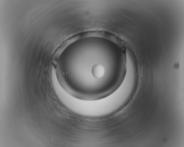 X0000113571257200910091431