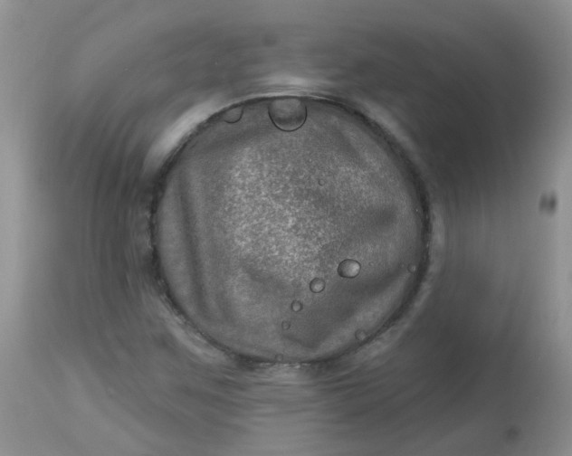 X0000113571259200910091431