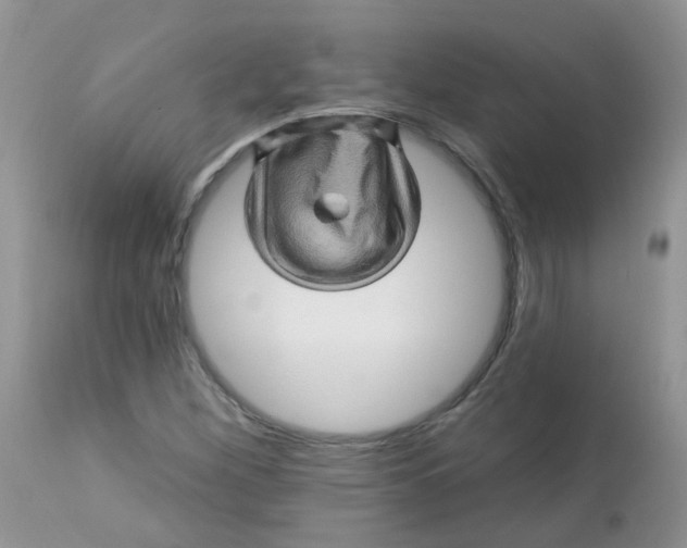 X0000113571260200910091431