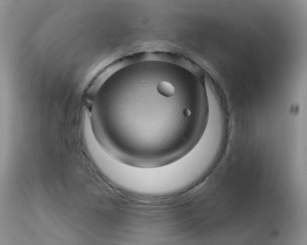 X0000113571261200910091431