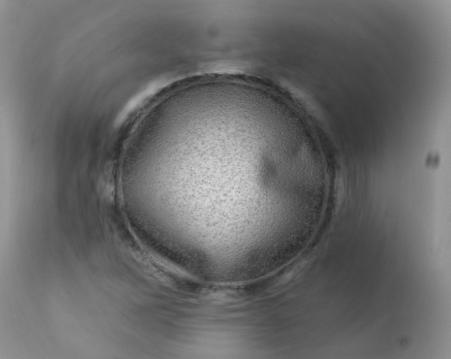 X0000113571262200910091431