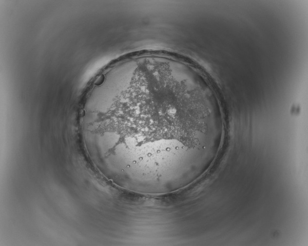 X0000113571263200910091431