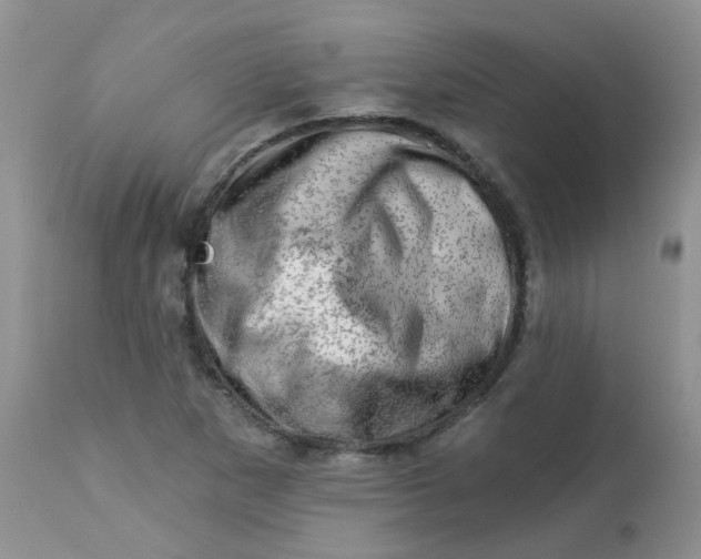 X0000113571265200910091431