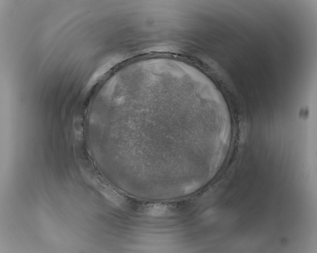 X0000113571266200910091431