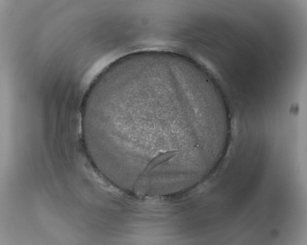 X0000113571267200910091431