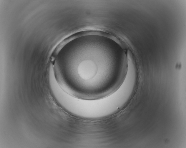 X0000113571268200910091431