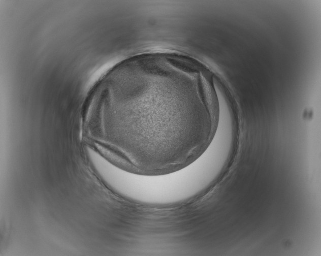 X0000113571269200910091431