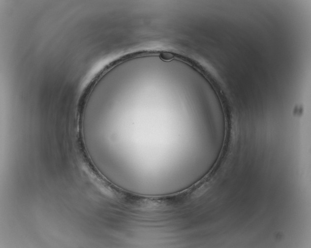 X0000113571270200910091431