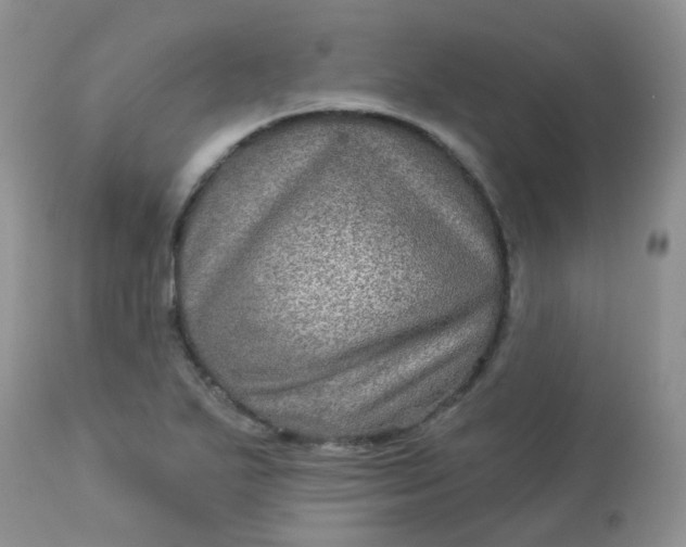 X0000113571271200910091431