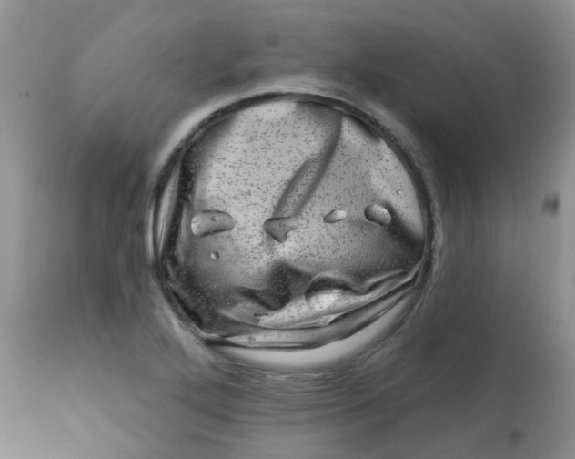 X0000113571272200910091431