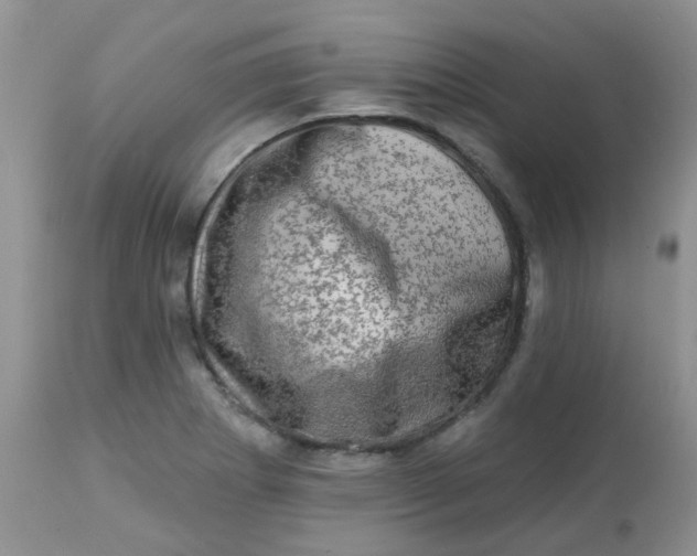 X0000113571273200910091430