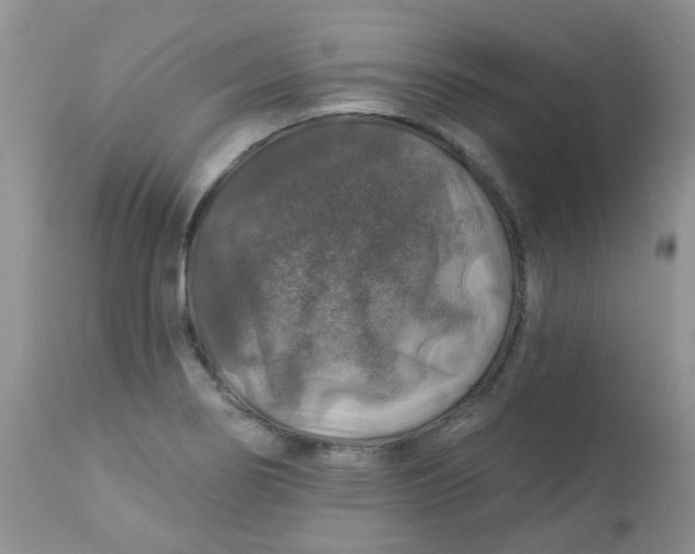 X0000113571274200910091430