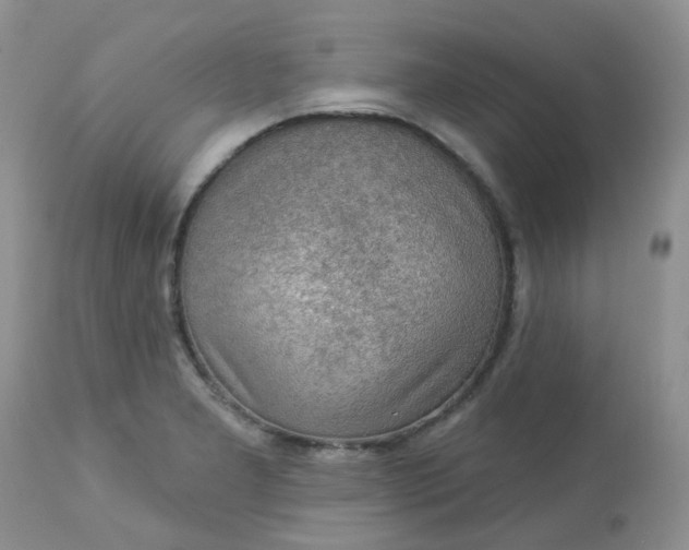 X0000113571277200910091430