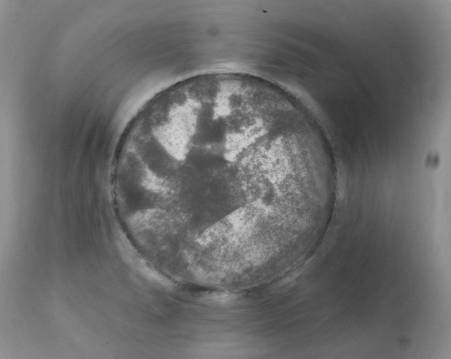 X0000113571278200910091430