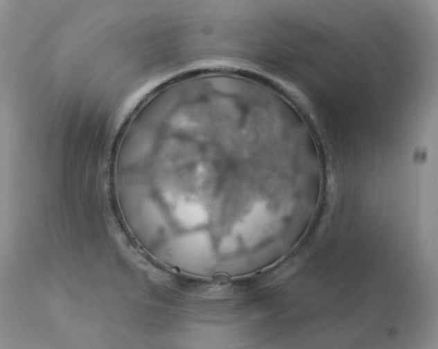 X0000113571279200910091430