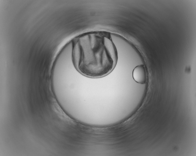 X0000113571280200910091430