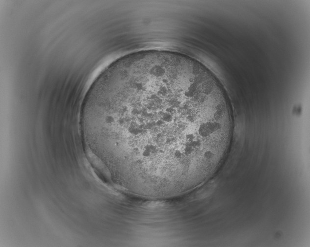 X0000113571283200910091430