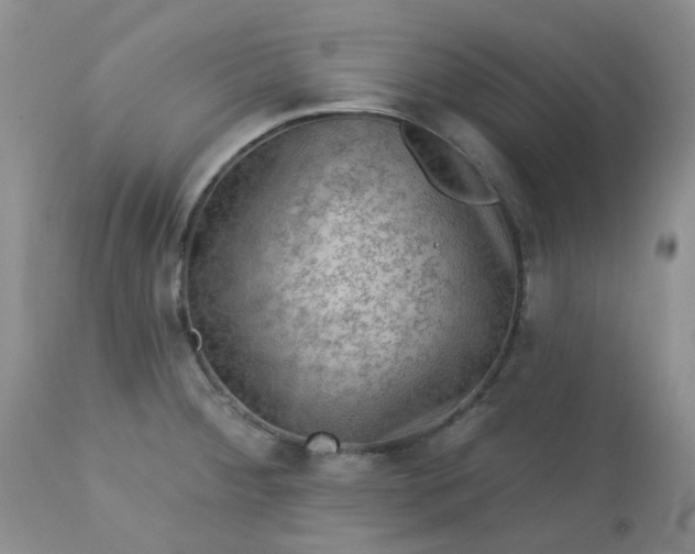 X0000113571284200910091430